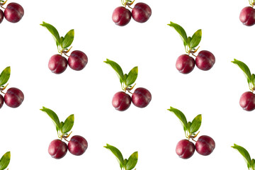 Seamless pattern with plum. Tropical abstract background. Plum on the white background.