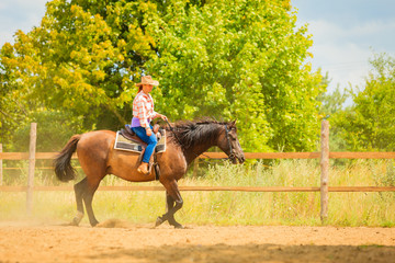 Cowgirl doing horse riding on countryside meadow