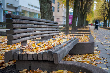 yellow leaves sitting on a bench in the autumn