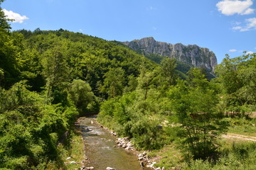 Fototapeta na wymiar Apuseni mountains - Romania
