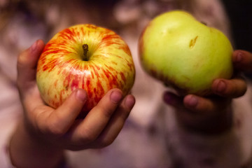 GIRL eats ripe apples. A child is eating an apple. Useful food fruits. Apples in the hands of a child.