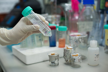 Test vaccines in the lab scientist working in laboratory