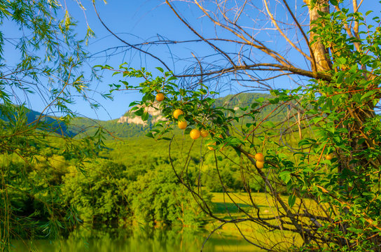 Crimea.Lake.Mountains.Green forest.Panorama.The Village Hero. Mount Boyka.Trees near the lake.