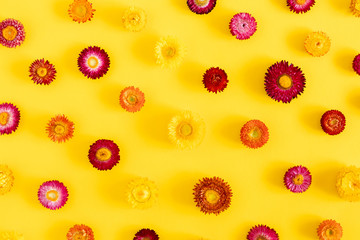 Flowers creative composition. Colorful flowers on yellow background. Flat lay, top view, copy space