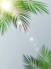 Fototapeta na wymiar Summer Time Palm Leaf with sunbeam on Transparent Vector Background Illustration