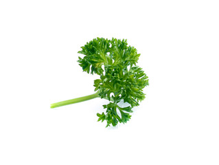 parsley isolated on white background