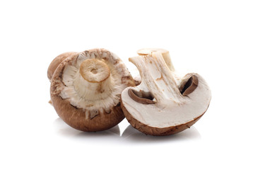 champignon mushrooms on white background