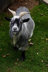 Goofy cute posing for the photo shoot