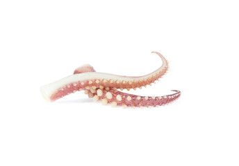 tentacles of octopus isolated on white background