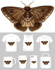 Graphic of moth on different types of product template