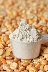 Pea protein powder in a measuring spoon, shallow depth of field.