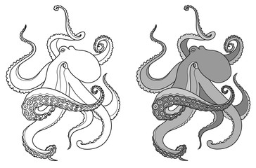 octopus stylization © kozerog2015