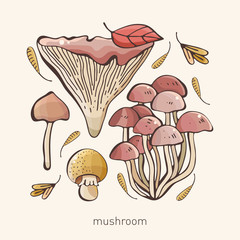 Vector set of colored forest mushrooms. Hand draws. Inscription. Assortment of mushrooms, white mushroom, honey mushrooms, chanterelles, boletus sketch food pattern isolated