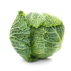 Fototapeta premium Healthy eating and fresh produce, green savoy cabbage isolated on white background