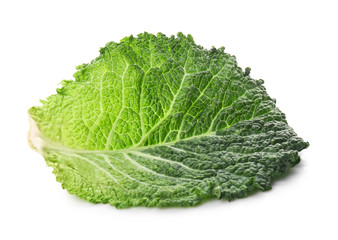Leaf of fresh cabbage on white background