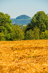  harvested field of wheat with panormaic view