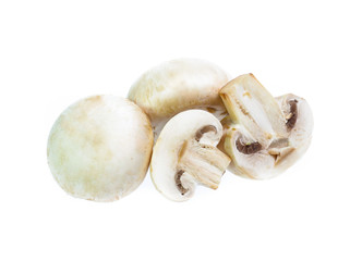 Mushroom champignon isolated on white background