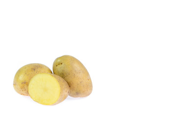 copy space potato isolated on white