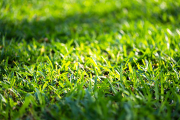 Beautiful meadow spring natural landscape with natural light sunset of the sun with dramatic yellow and orange sky. Outdoor travel on wild nature. Relax zone with fresh air and water.