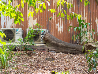Two Air Conditioning Units Against A Rusted Iron Wall In A Garden