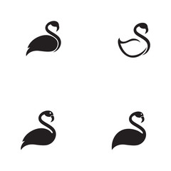 Flamingo logo template vector