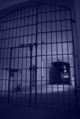 감옥. 서대문형무소. 독림운동. 3.1운동. 고문. 광복절. 일제강점 . 후쿠시마.만행. 731부대.일본군.위안부.