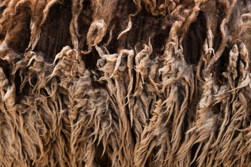 Natural fiber thermal fur wool texture background from sheep with white bright color tone. Backdrop for design art work or text message.