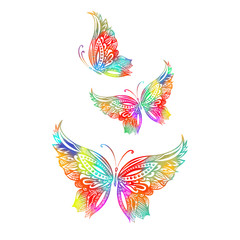 Colorful butterfly of patterns. Vector illustration