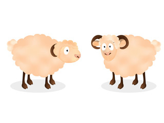Cartoon character of two sheep on white background.