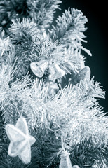 Christmas tree with winter tone ,cold and frost concept
