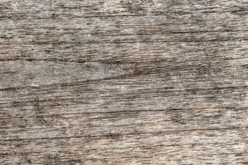 Old gray wooden wall, background and texture, close up