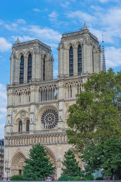 Beautiful Notre Dame cathedral on sunny day before the fir. Vertical picture