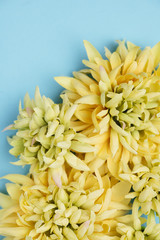 Yellow flowers top view with copy space