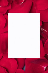 White paper on red rose petals copy space
