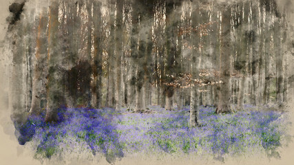 Digital watercolor painting of Stunning landscape of bluebell forest in Spring in English countryside