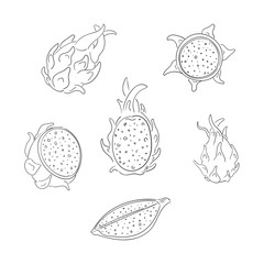 Dragon fruits whole and sliced outline illustrations set
