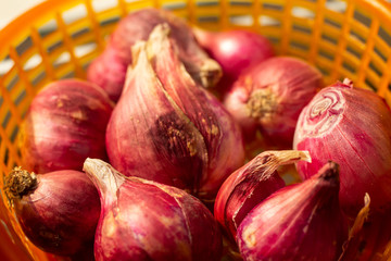 Red shallots in orange plastic basket, Close up & Macro shot, Selective focus, Spicy & herb vegetable, Thai food, Healthy concept