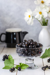 Image with black currant.