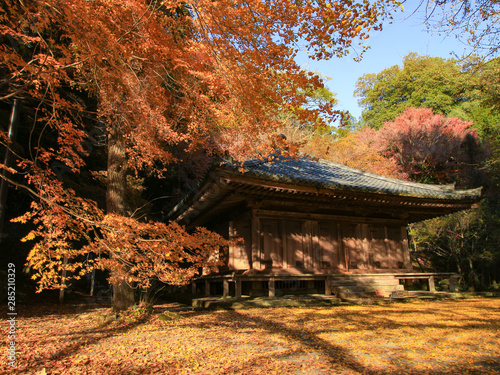 富貴寺と紅葉 大分県豊後高田市 Wall Mural Wallpaper Murals M H