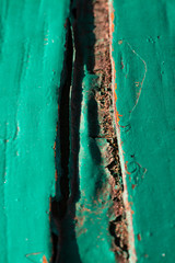 Green colour painted wooden texture background is peeling, Close up & Macro shot, Selective focus