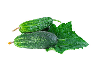 Cucumbers with leaf. Small unripe cucumbers or gherkins isolated on white background.