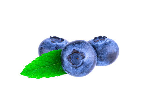 Blueberries three fresh blueberry isolated on white background