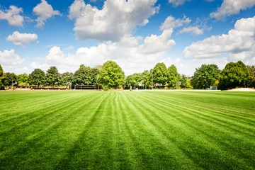 Fotobehang soccer field in summer park. © ifiStudio