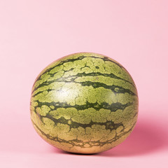 Close-up full size watermelon