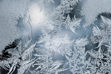 the unusual frost on a winter window