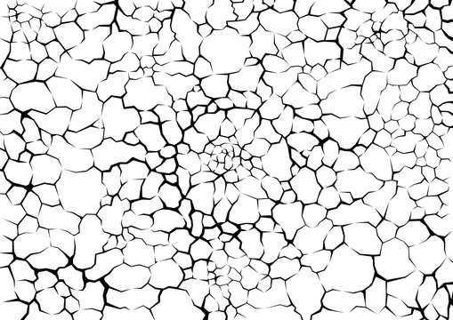Earth cracks or plant roots on white background. Concrete wall Texture. Cracked pattern design vectors in polygon style.