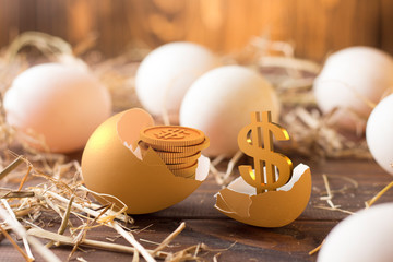invest in gold egg , concept risk investment in trading asset 