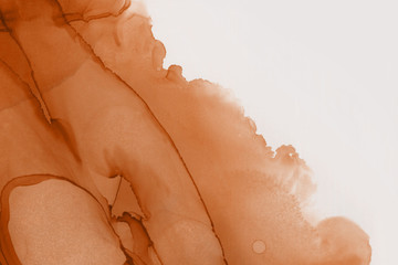 Hand painted alcohol ink background. Abstract delicate orange texture. Contemporary autumn wallpaper. 