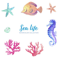 Watercolor sea life animals collection © SevenWays