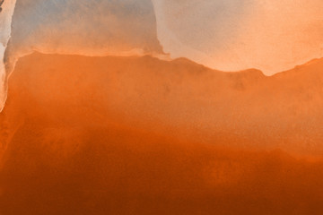Hand painted alcohol ink background. Abstract delicate orange texture. Contemporary autumn wallpaper. 